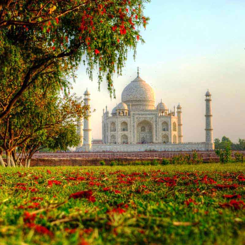 Taj Mahal Night View